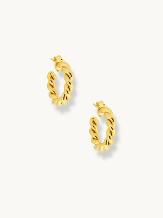 18k Gold Vermeil Plated Twerlly Earrings